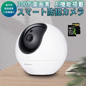 防犯カメラ 屋内用 ワイヤレス CS990 300万画素 SDカード256GB同梱モデル ONVIF AI機能搭載 人体追跡 動体検知 PSE 技適「CS990/SD256.A」