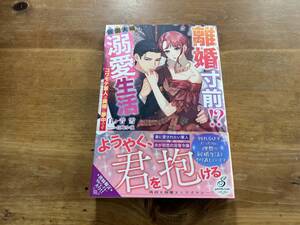 離婚寸前!? 仮面夫婦からの溺愛生活 コワモテ軍人は奥様に夢中です SSペーパー付