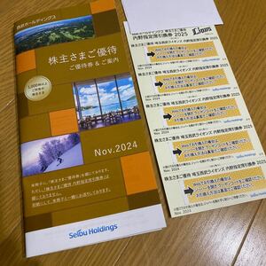 [最新]西武ホールディングス 株主優待冊子+埼玉西武ライオンズ内野指定席引換券5枚