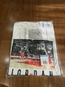 Mサイズ UNDEFEATED x JORDAN S/S Tee 2 Whiteアンディフィーテッド x ジョーダン