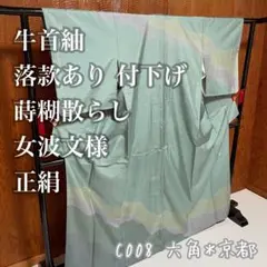 付下げ 牛首紬 落款あり 蒔糊散らし 女波文様 正絹 C008