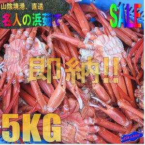 5箱、即納★名人の【浜茹で蟹AA-5kg】境港直送!! -15尾位で5kg位-.「冷凍紅蟹5kg」