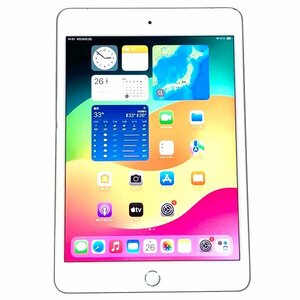 iPad mini5 Wi-Fi+Cellular SIMフリー 判定〇 256GB 第5世代 A2124 MUXD2J/A シルバー