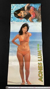 ｊ▽　ポスター　アグネス・ラム　水着　綴じ込み付録のポスター　昭和レトロ　当時物/B62