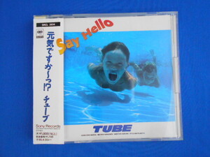 CD/TUBE チューブ/Say Hello セイ・ハロー/中古/cd22579