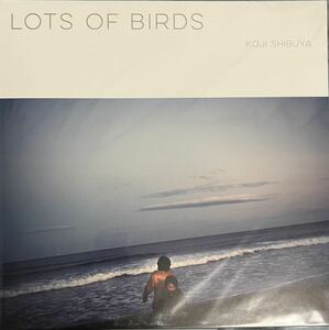 KOJI SHIBUYA / LOTS OF BIRDS アナログLP 初回プレス限定盤 美品 yumbo 澁谷浩次