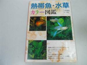 ●P726●熱帯魚水草カラー図鑑●小林道信●熱帯魚水草カタログメダカシクリッドアナバンティ熱帯魚飼育基礎知識●即決