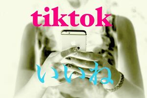 【最高品質★低価格★【tiktokいいね8000人】♪おまけ♪便利なSNS増加ツール！ SNS YouTube TikTok X Twitter コンテンツ作成