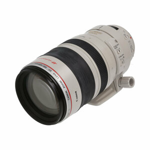 Canon EF100-400mm F4.5-5.6L IS USM 【AB】