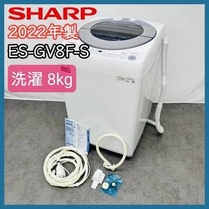 2022年製　SHARP 縦型全自動洗濯機 ES-GV8F-S 8.0kg