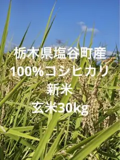 令和６年　新米　玄米30kg  栃木県産