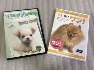 DVD 2枚セット　ちいさいワンちゃん＆チワワ