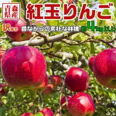 青森県産 紅玉 りんご 4kg以上 5キロ箱 訳あり・ご家庭用｜家族・家庭向け・アップルパイなどお料理に最適