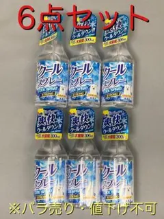 衣類用 クール スプレー STRONG 消臭 成分配合 300ml 6点セット