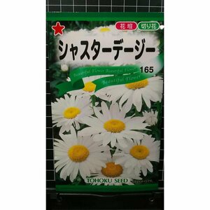 ３袋セット シャスター デージー 種 郵便は送料無料