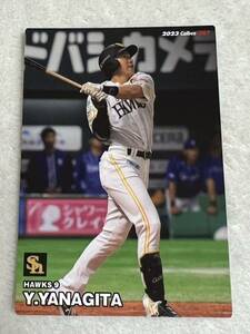 柳田悠岐　福岡ソフトバンク ホークス カルビープロ野球カード カルビー プロ野球チップス 2023