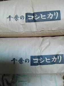 令和　6年　コシヒカリ 20kg　精米