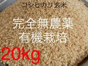 完全無農薬 有機栽培 20キロ 『一等米』令和5年 新米 コシヒカリ玄米 美味しいお米！送料無料！農家直送