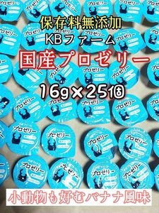 KBファーム 国産プロゼリー16g 25個 カブトムシ クワガタ 昆虫