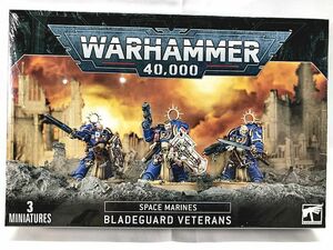 ウォーハンマー40,000　スペースマリーン ブレイドガード ベテラン　48-44　WARHAMMER　BLADEGUARD VETERANS　同梱OK　1円スタート★H