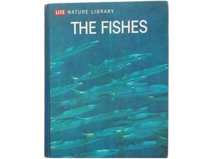 洋書◆魚の写真集 本 魚類 海