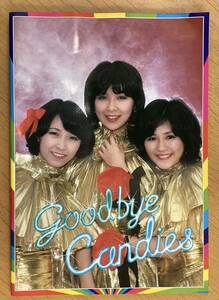 キャンディーズ Goodbye Candies ありがとうカーニバル パンフレット 1978年 伊藤蘭・田中好子・藤村美樹