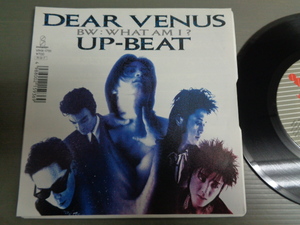 UP-BEAT アップビート/DEAR VENUS★シングル