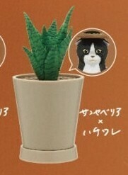 デテクルキャット サンセベリア ハチワレ ガチャ ガチャガチャ 奇譚クラブ 猫 ねこ フィギュア 可動 サンセベリア キタンクラブ