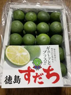 徳島県産すだち2Lサイズ