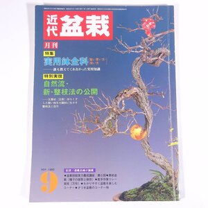 月刊 近代盆栽 No.95 1985/9 近代出版 雑誌 盆栽総合誌 園芸 ガーデニング 植物 特集・実用鉢全科 自然流・新・整枝法の公開 ほか