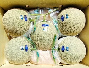 ☆高知産　☆約１０，０Kg☆　マスクメロン　５玉入り　☆　AA品　☆ミネラルメロン　　美品☆