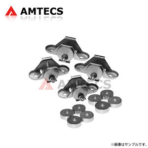 AMTECS アムテックス SPC 73620 リアキャンバーキット -0.75°(-0°45