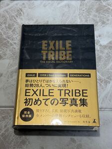 ☆未使用☆ EXILE TRIBE Thevirtualdictionary