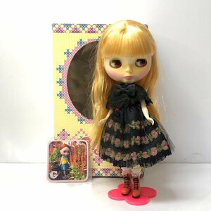 TOM【中古品】 タカラトミー Blythe ネオブライス スターダンサー 詳細不明　　 〈38-240610-WY-9-TOM〉