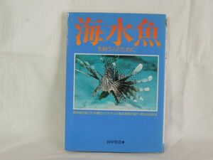 ☆海水魚を飼う人のために―失敗しない飼育法☆