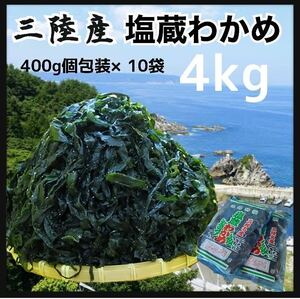 【大容量セット】塩蔵わかめ 4kg 岩手県産 400g個包装×10袋三陸産 産地直送品 おすすめ 国産 珍味　良質　大容量　お得