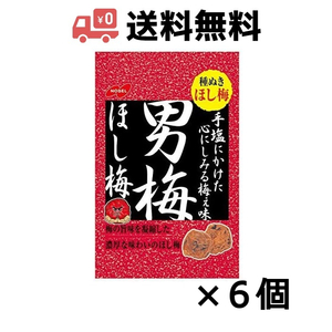 ノーベル 男梅ほし梅 20g(種ぬき） ×6個