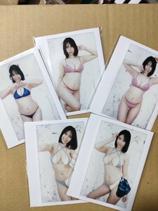 5枚セット　鈴木ふみ奈　ワイドチェキ　　