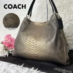 極美品希少✨COACH トートバッグ　パイソン　保存袋付　A4サイズ収納可能