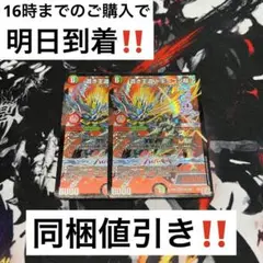 【24時間以内発送‼︎】ドギラゴン超　2枚