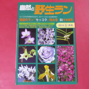 YN4-241219☆自然と野生ラン 2014年5月号　セッコク 春蘭 サクラソウ 富貴蘭 ※ 園芸JAPAN