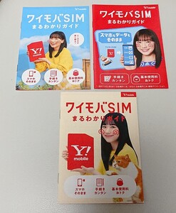 芦田愛菜　Mana Ashida　小冊子　3冊　まなちゃん　愛菜ちゃん　美人女優　新品　未使用　非売品　希少品　入手困難　管理(YF-K)202309-AM3