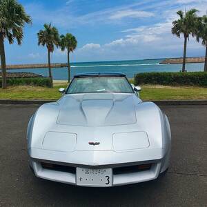 1982y 最終型 CHEVROLET CORVETTE C3 キャブ仕様 レストアベース車 シボレーコルベット カマロ スポーツカー