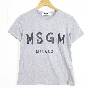 エムエスジーエム MSGM WITH PAINT BRUSHED LOGO ペイント ロゴ Tシャツ カットソー XS グレー 2441MDM60 2sa6149 レディース