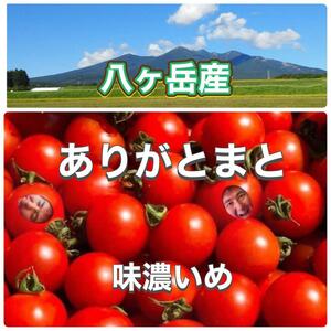 年末年始休まず出荷！八ヶ岳産　行列ありがとまと 約300g 味濃いめ