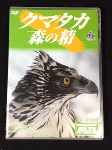 ykbd/24/1017/ym180/pk310/Y/2.5★クマタカ 森の精 DVDネイチャーシリーズ 野生の王国 [DVD] 　野鳥 バードウォッチング 森本レオ