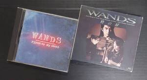 【2枚セット】WANDS「時の扉」「PIECE OF MY SOUL」中古傷あり 世界が終るまでは 上杉昇 織田哲郎 ビーイング