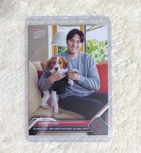 大谷翔平 SHOHEI OHTANI トレーディングカード ケース入り 犬 愛犬 Topps now 未使用 デコピン