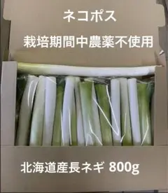 北海道産 長ネギ 800g