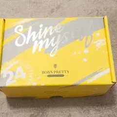 ボーンプリティー born pretty ネイルアートセット マニキュア